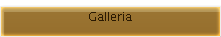 Galleria